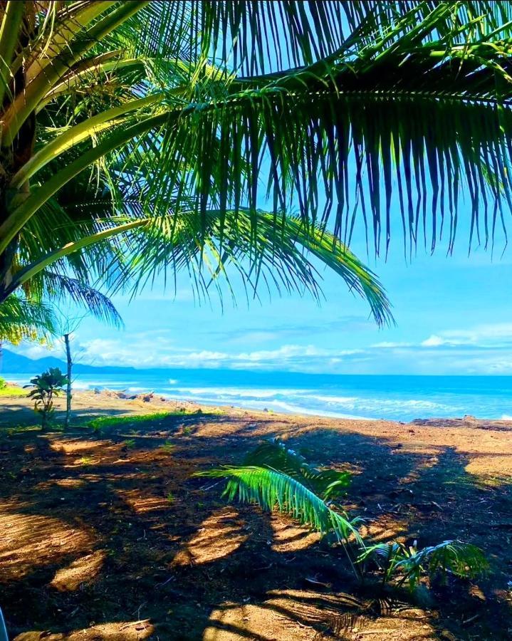 Tortuga Bay Eco Hotel El Valle  Luaran gambar