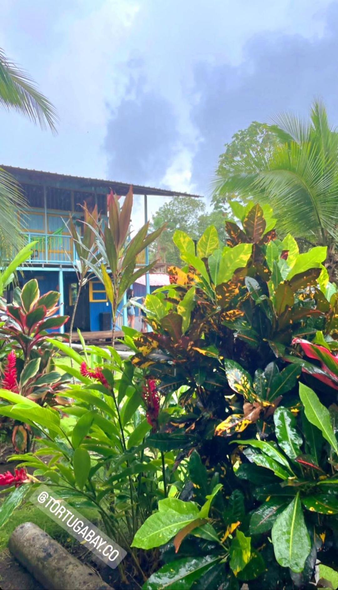 Tortuga Bay Eco Hotel El Valle  Luaran gambar